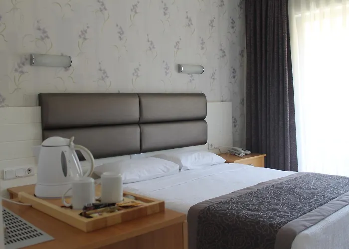 Ida Hotel 3*